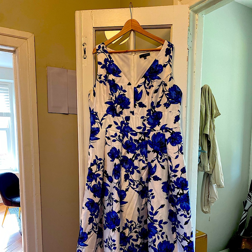 Gorgeous white and cobalt rough silk gown